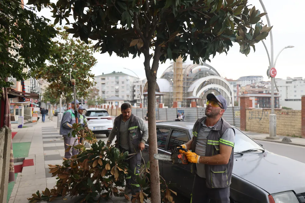 Çayırova’da mevsimlik budama çalışmaları başladı