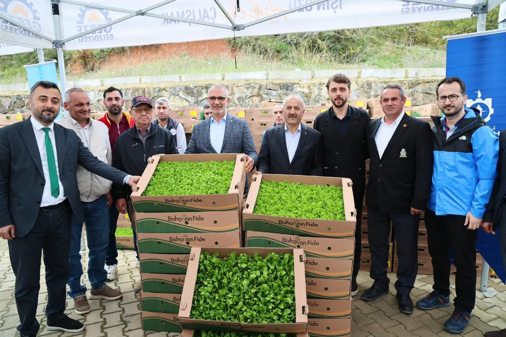 Gebze Bölgesi Sebze Fidesi Dağıtım Töreni Kadıllı’da Gerçekleşti