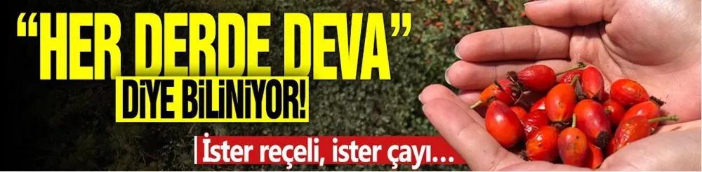 “Her derde deva” diye biliniyor! İster reçeli, ister çayı…